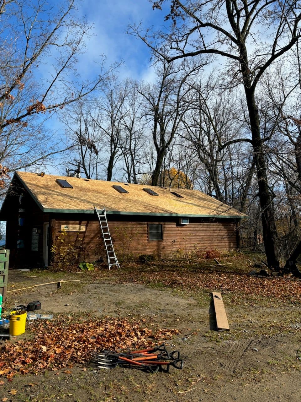 Project Roofing Excellence for Novel Cabin Retreat image